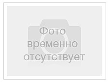 Шкворень ГАЗ-3302,2705 в сб. из 2х усилен.